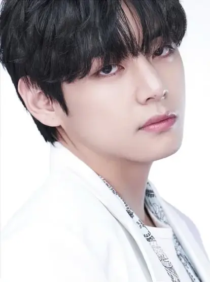 BTS, The Best Promo Photo - Taehyung