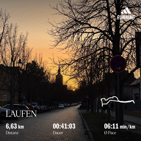 Untergehende Sonne vor orangefarbenem Himmel, eine Straße entlang blickend, im Vordergrund säumen viele blätterlose Äste und ein Parkverbotsschild die Straße - am Horizont die Silhouette eines Kirchturms (Wenzelskirche)