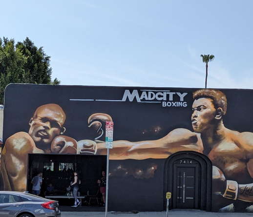 Mad City gym with a mural of Ali hitting someone who looks to me like George Foreman