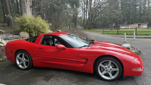 A picture of a very torch red 2000 Corvette all cleaned up at Lake wilderness in Maple Valley. Very Ferrari looking, and very red as a sports car should be.