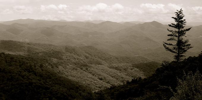 Black and white landscape of the Blue Ridge Mountains in North Carolina, shadows in the foreground, a lonely pine tree to the right. Distant clouds to the top of the image.