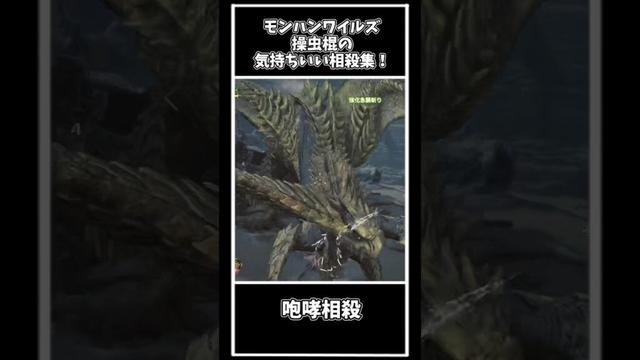 【モンハンワイルズ】気持ちいい操虫棍の相殺集！　#操虫棍 #モンハンワイルズ #相殺