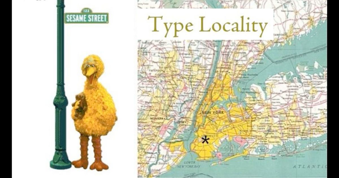 1) Picture of Big Bird under a "Sesame Street" sign
2) map of the NYC area