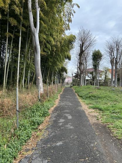Sunday RunDay 🏃🏻