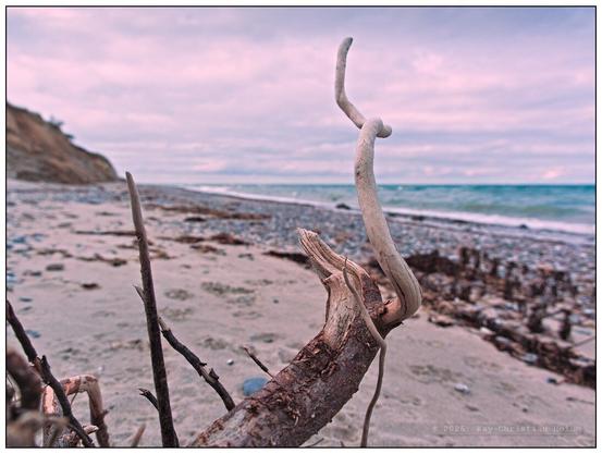 Weitwinkelaufnahme aus nächster Nähe eines kahlen, von Salz und Sonne ausgebleichten, verzweigten Astes am Ostseestrand, im Hintergrund leicht unscharf die See und der Himmel.