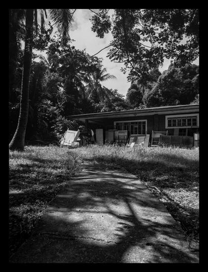 A rustic, slightly overgrown scene of a single-story house in a tropical setting, surrounded by a dense canopy of trees and foliage. The perspective is from a concrete pathway leading directly towards the house. There are a bunch of random materials in front of it. - Google Gemini