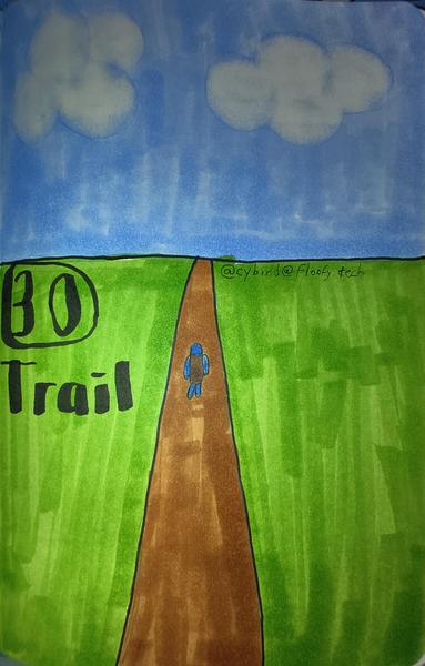 Cybird walking on a trail in the middle of a field.