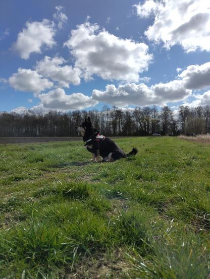 Same bliksem, same vibes. Basicly same photo with less zoom.