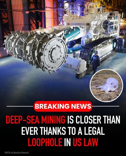 Breaking news 
Deep-sea mining is closer than ever thanks to a legal loophole in US law 

Pictures of a massive underwater robot and a baby octopus