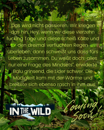 Textauszug aus meinem Roman In the wild