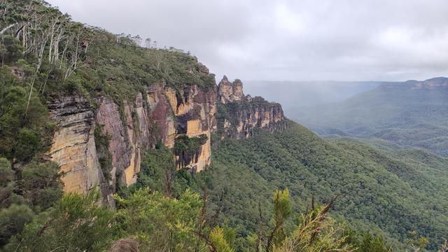 the iconic three sisters region at Katoomba. High, steep gold and brown surrounded by green forest