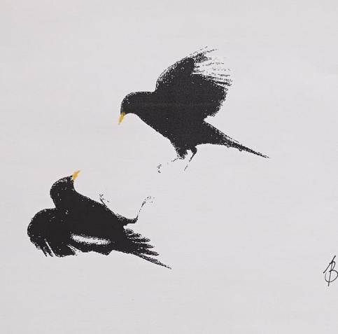 Sketch, black and yellow, two common blackbirds fighting while in flight