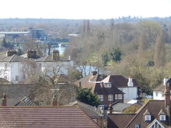 peering down at a little bit of thames that's visible between trees and houses at this rather unnecessary angle