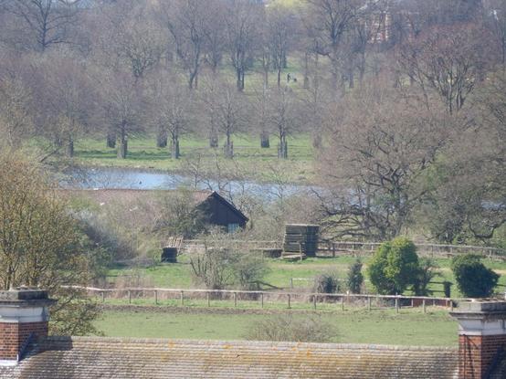 the long water in Hampton Court Park. someone is visible dragging a golf caddy on the far side of it. this is a bit under 2km away