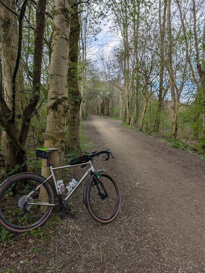 This image shows a bicycle leaning against a tree on the left side of a dirt path that stretches into the distance through a wooded area. The bike is a gravel bike with a titanium frame, and the path is surrounded by tall, thin trees with budding leaves. The sky is overcast, and the overall scene suggests a peaceful, outdoor setting.
