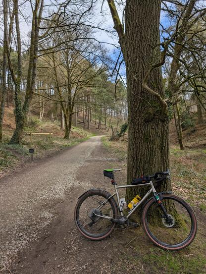 A bicycle leans against a large tree trunk on the edge of a dirt path winding through a wooded area. The bike is a gravel bike with a titanium frame, and the path leads into a forest with bare trees and a cloudy sky.