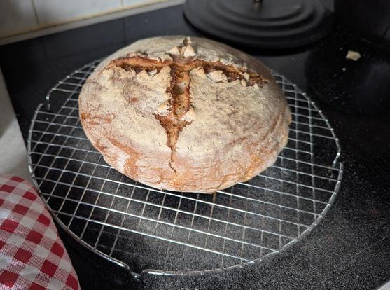 Boule style bread with scoring fresh from the oven.