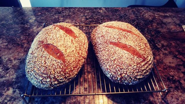 Two sourdough loaves on a wire rack
