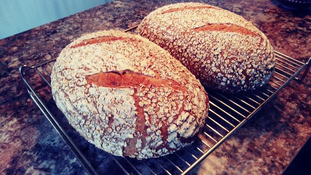 Two sourdough loaves on a wire rack viewed from an angle
