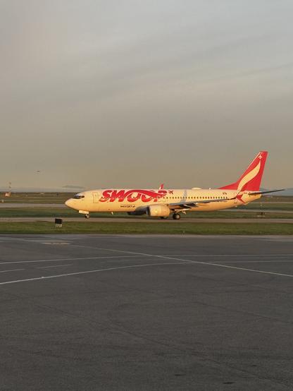 Swoop plane on the tarmac by sunrise 
- - -
Avion Swoop sur le tarmac au lever du soleil