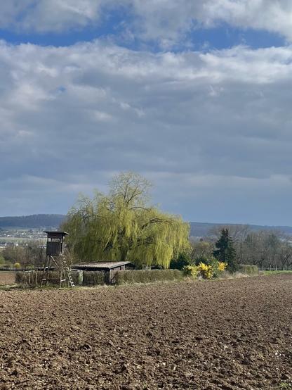 A small hut and a willow tree behind a field of brown soil. The sky is blue with white clouds in various layers.