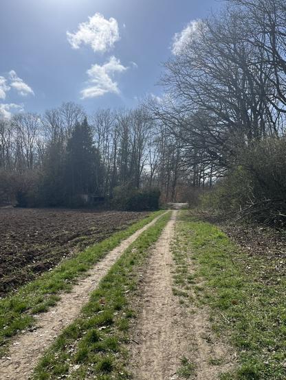 A footpath next to a field and with Grass on the right side. Some trees standing in the back. Blue sky with singulary white clouds.