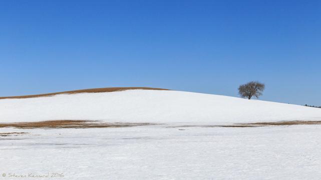 A hill with a light covering of snow takes up the bottom half of the image. There are areas where the earth shows through in patches, including one on the brow of the hill. To the right of the brow is a single tree. The sky is a deep, cloudless blue.