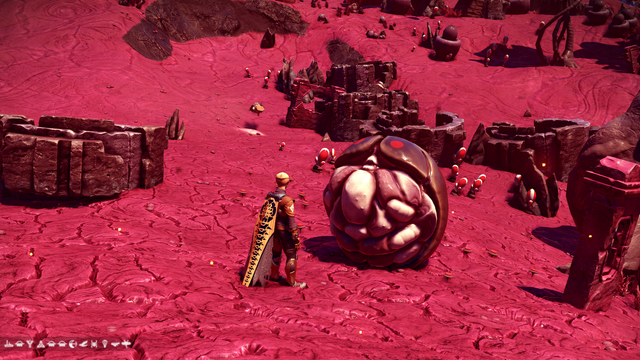 Some weird ball with a brown half crust and red 'eyes', and a brain-like other half, that I adopted as the companion for the task in the Relics Expedition in No Man's Sky. Also in the shot is my usual character, and a drone in the distance, on a planet with reddish-brown dried earth, and fallen relics.