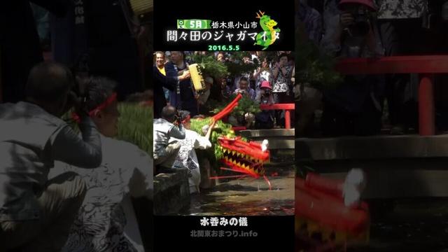 #間々田のジャガマイタ 2016③ #栃木県小山市 #奇祭