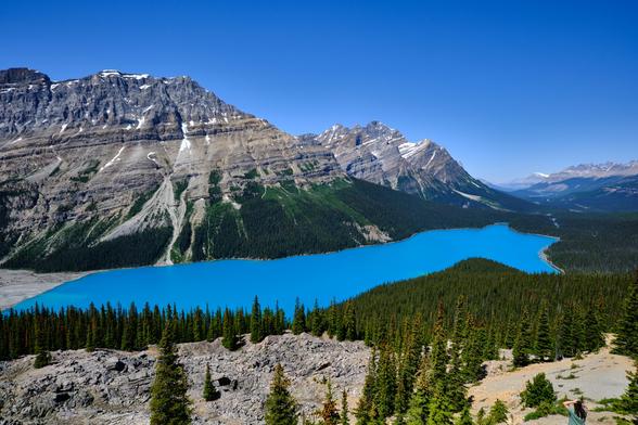 A view of Peyto lake, a very blue looking lake set amongst green trees and mountains.  The mountains have snow patches on some of the sheltered spots and the different bands of rocks can be seen, with a slight angle rising left to right of the montain on the left behind the lake.  On the right a more ditant view to another snow capped mountain.  Clear blue skies.  Wide angle shot to take in whole lake.