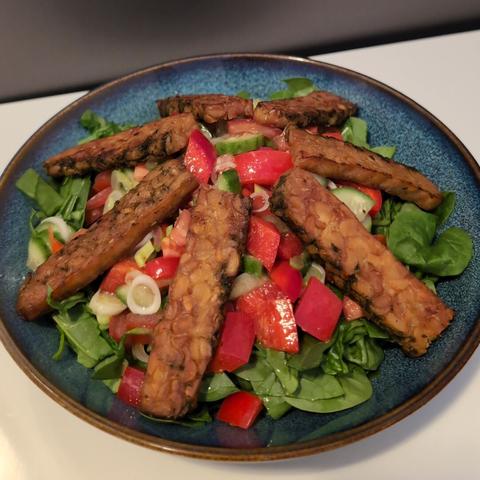 Photo of a marinated mixed salad with red bell pepper, cucumber, tomatoes and spring onions on a bed of fresh chopped spinach leaves. Radially on top arranged there are 7 slices of fried seasoned chickpea tempeh. The salad is served on a blue plate. The background is a neutral white table.