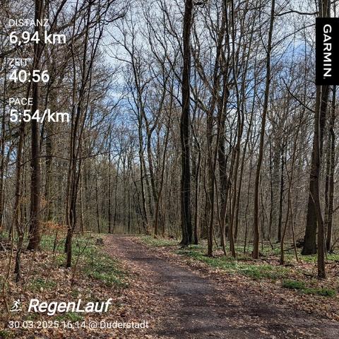 Schönes Wetter im Wald? 7 km Laufrunde im Wald.