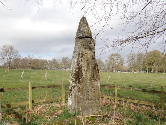 Tall standing stone in a field with a wooded fence surrounding it. The stone has a smaller stone added to the top. There was a ball stone on top of that but now long gone.