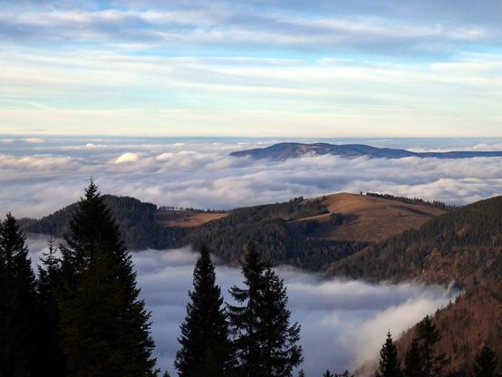 Blick vom Feldberg (1493m) Richtung Hinterwaldkopf und Dreisamtal, das dank Inversionswetterlage im Nebel liegt.