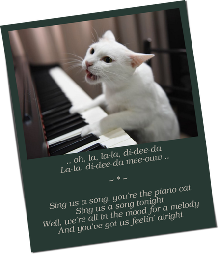 A white-haired cat hits the buttons of a piano forte and sings a popular song by Billy Joel: 

   ".. Oh, La, La-La, Di-Dee-Da 
   La-La, Di-Dee-Da Mee-Ouw .. 
   Sing us a song, you're the piano cat
   Sing us a song tonight
   Well, we're all in the Mood for a Melody
   And you've got us feelin' alright."