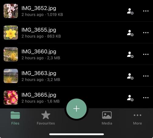 A screenshot of a file management app displaying a list of image files, primarily featuring floral images, with file names and sizes.