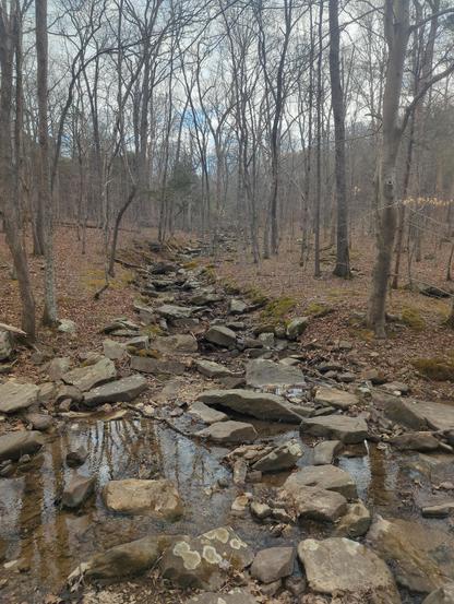creekbed that feeds a waterfall downstream is empty, only large sandstone  rocks are visible from the top of the hill to the standing water at the bottom. Surrounded by trees that have yet to bud spring leaves.