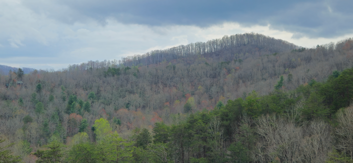 A view of a tree-lined knobs in spring. Most trees are still bare, but spots of color are showing up. The sky is cloudy and gray-blue.