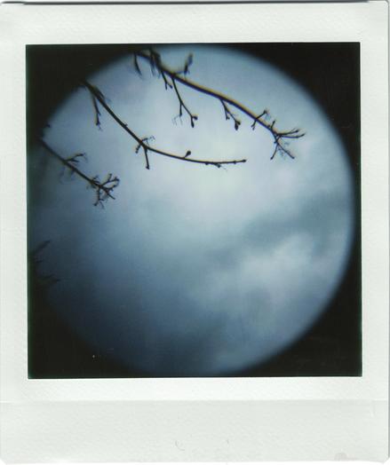 A picture of a cloudy grey sky. In the top left, there is a silhouette of bare, wintery tree branch. 
It is an instant picture, with a white frame. There is heavy vignetting in every corner, making the image round and the sky like a picture of a planet