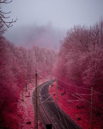 Infrared photo of a railway going through a wooded are with foggy weather.