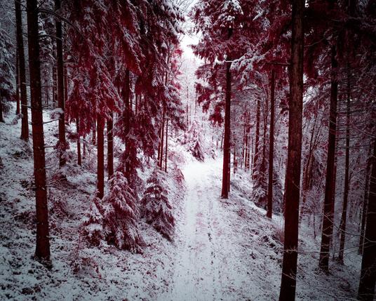 Infrared shot of a snow covered forest path.