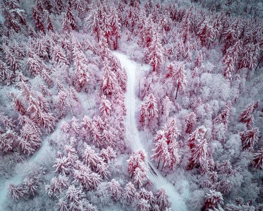 Infrared drone shot of a snow covered forest path.