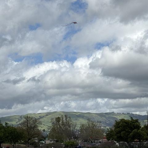 A view from across a park (though that’s only barely noticeable), with 3/4 of the picture showing the white and grey clouds and bits of blue in between them. In the distance a line of tree and hills behind them.

The focus however is a kite, high up in the sky.