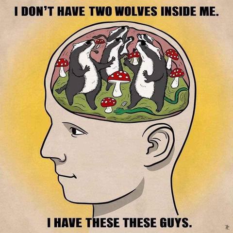 Illustration of the inside of someone’s head where badgers, mushrooms and snakes are seen.

Text reads: I don’t have two wolves inside of me.

I have these guys.
