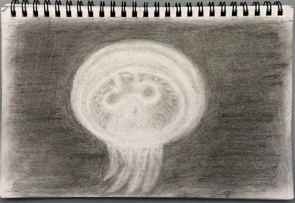 Moon Jelly graphite painting