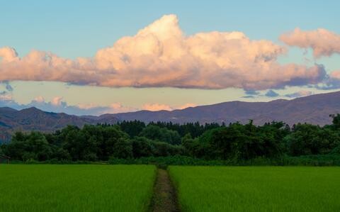 Fukushima, Japan: Region rebuilt | Stripes Japan