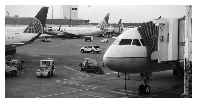 Multiple planes at an airport parked at the boarding gates.