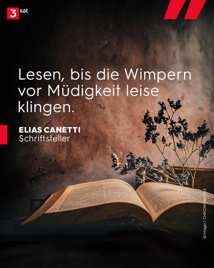 Bildbeschreibung: Aufgeschlagenes Buch auf Tisch, getrocknete Blüten an der Seite. Zitat auf dem Bild von Schriftsteller Elias Canetti: "Lesen, bis die Wimpern vor Müdigkeit leise klingeln."