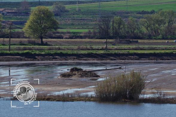 desperfectos tendido eléctrico por inundaciones huertas río Tajo