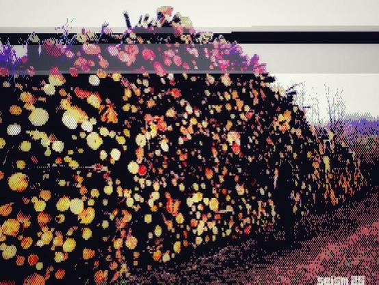 A 3 meter tall stack of cut trees with silhouette of a person in front. Stylized photography.